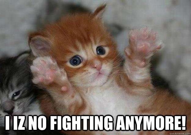  I iz no fighting anymore!  Two kittens say
