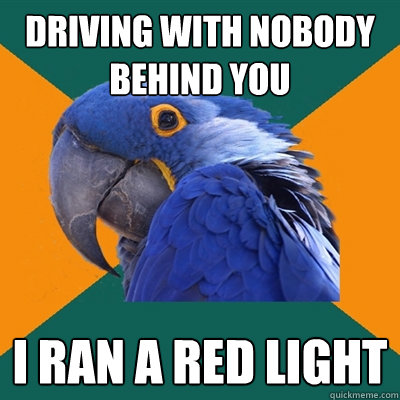 driving with nobody behind you i ran a red light  Paranoid Parrot