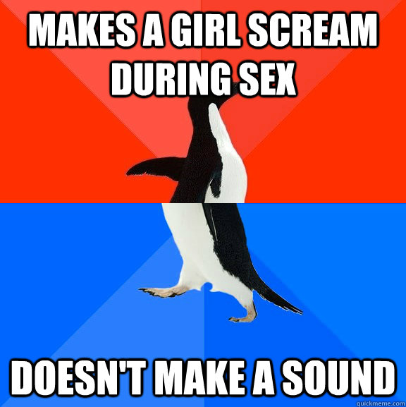 Makes a girl scream during sex doesn't make a sound  Socially Awesome Awkward Penguin