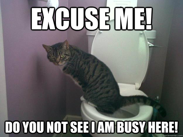 EXCUSE ME! DO YOU NOT SEE I AM BUSY HERE! - EXCUSE ME! DO YOU NOT SEE I AM BUSY HERE!  EXCUSE ME