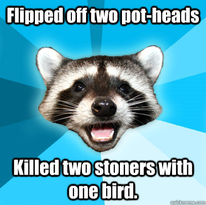 Flipped off two pot-heads Killed two stoners with one bird.  Lame Pun Coon