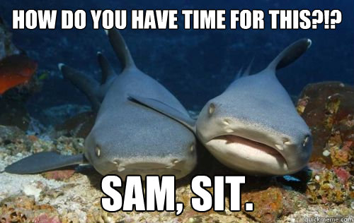 how do you have time for this?!? sam, sit.  Compassionate Shark Friend