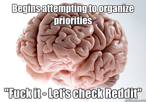 Begins attempting to organize priorities 