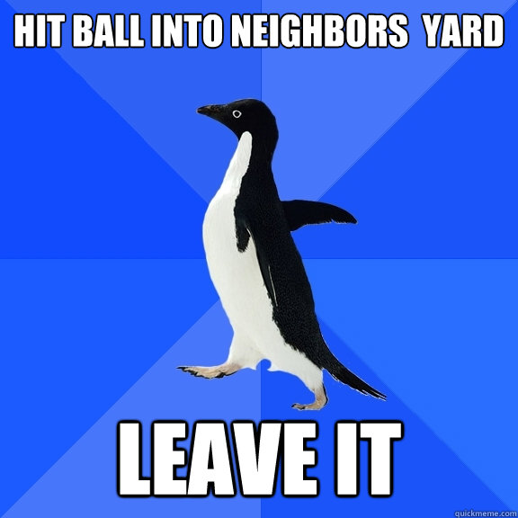 hit ball into neighbors  yard leave it  Socially Awkward Penguin