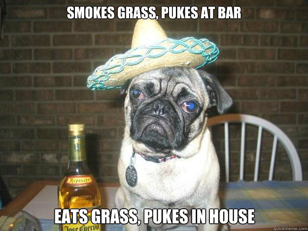 smokes grass, pukes at bar eats grass, pukes in house  