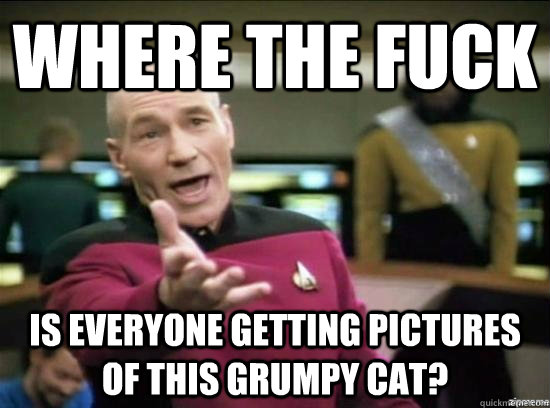 Where the fuck is everyone getting pictures of this grumpy cat?  Annoyed Picard HD