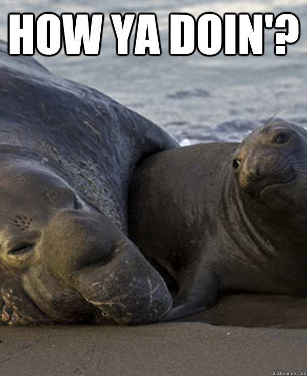 How ya doin'?  - How ya doin'?   Joey Tribbiani the Seal