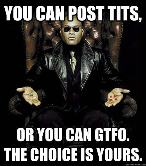 You can post tits, or you can gtfo. the choice is yours.  Morpheus