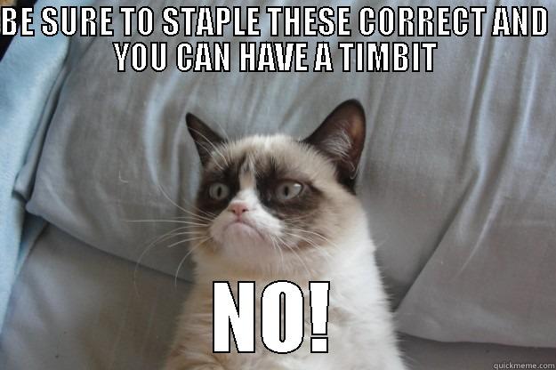 BE SURE TO STAPLE THESE CORRECT AND YOU CAN HAVE A TIMBIT NO! Grumpy Cat