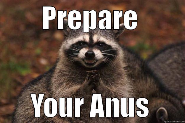PREPARE YOUR ANUS Evil Plotting Raccoon