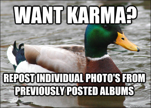 Want karma? Repost individual photo's from previously posted albums  Actual Advice Mallard