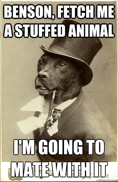 Benson, fetch me a stuffed animal I'm going to mate with it - Benson, fetch me a stuffed animal I'm going to mate with it  Old Money Dog