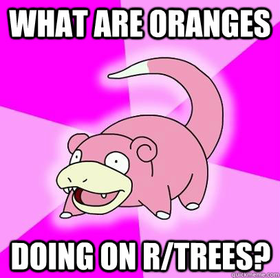 what are oranges doing on r/trees?  Slowpoke
