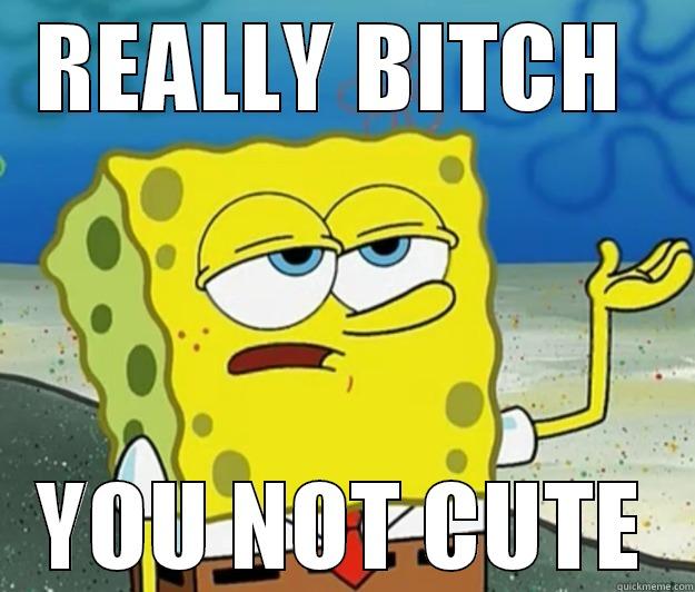 REALLY BITCH  YOU NOT CUTE Tough Spongebob