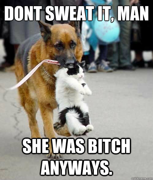 don´t sweat it, man she was bitch anyways.  Wingman Cat