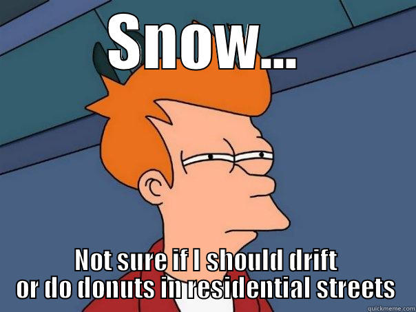 SNOW... NOT SURE IF I SHOULD DRIFT OR DO DONUTS IN RESIDENTIAL STREETS Futurama Fry