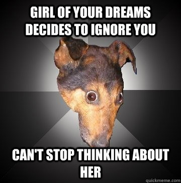 girl of your dreams decides to ignore you can't stop thinking about her  Depression Dog