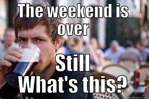 THE WEEKEND IS OVER STILL WHAT'S THIS? Lazy College Senior