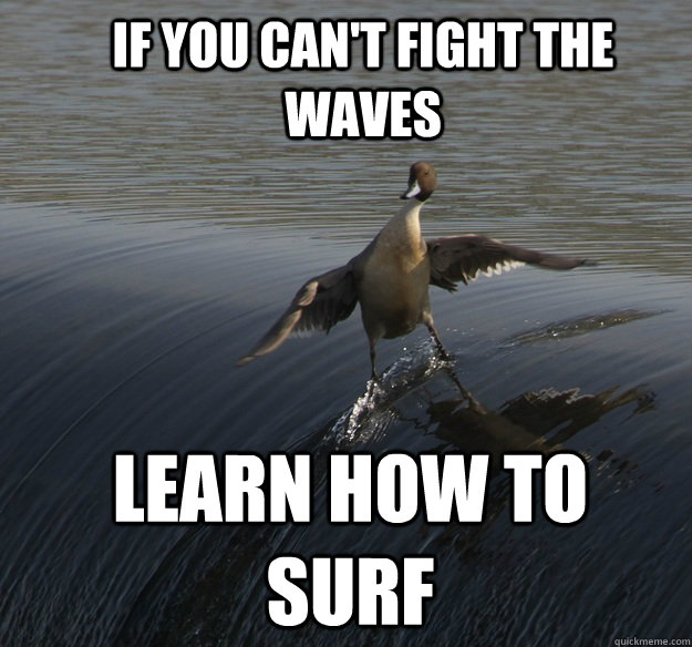 IF YOU CAN'T FIGHT THE WAVES LEARN HOW TO SURF  