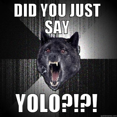 DID YOU JUST SAY YOLO?!?! Insanity Wolf