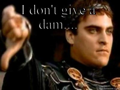 I don't give - I DON'T GIVE A DAM....  Downvoting Roman