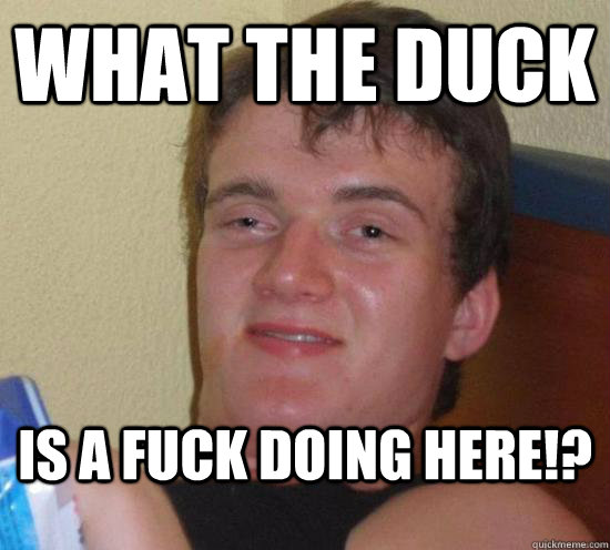 What the duck is a fuck doing here!?  High guy