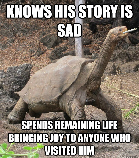 Knows his story is sad spends remaining life bringing joy to anyone who visited him  Good Guy George