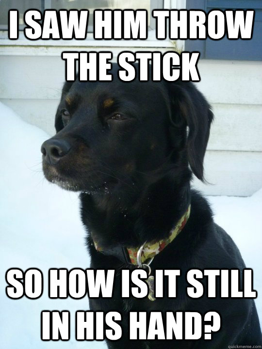 I saw him throw the stick so how is it still in his hand?  Philosophical Puppy