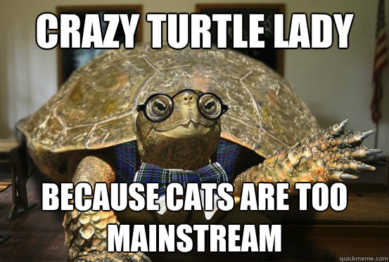 crazy turtle lady because cats are too mainstream  