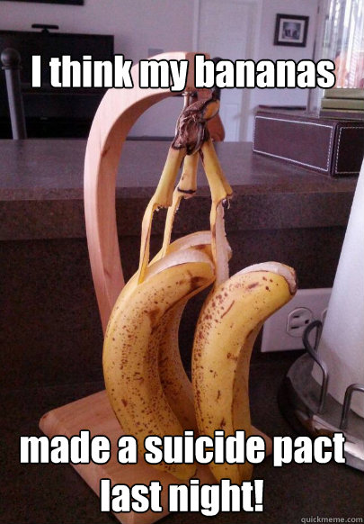 I think my bananas made a suicide pact last night! - I think my bananas made a suicide pact last night!  Misc