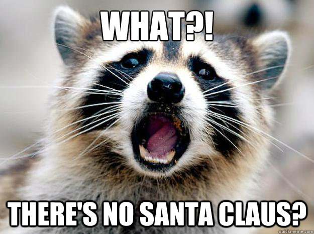 what?! there's no Santa Claus? - what?! there's no Santa Claus?  What!