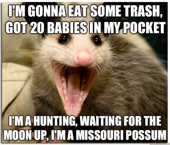 I'm gonna eat some trash, got 20 babies in my pocket I'm a hunting, waiting for the moon up, I'm a Missouri Possum  Awesome Possum