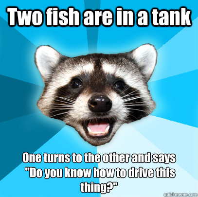 Two fish are in a tank One turns to the other and says
 