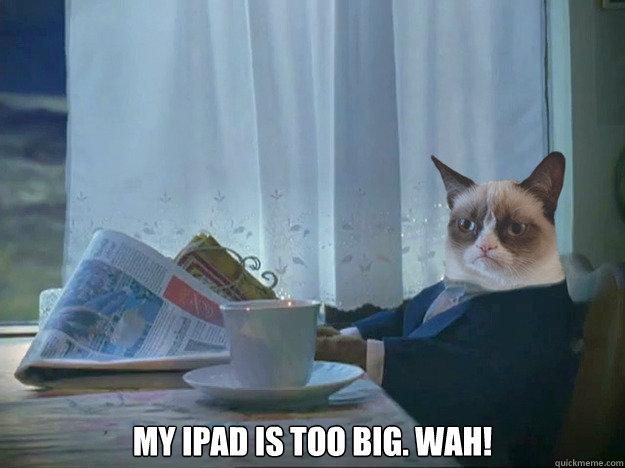  My ipad is too big. Wah!  Grumpy Cat Thoughts