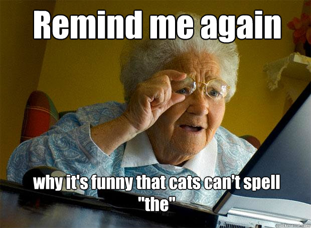 Remind me again why it's funny that cats can't spell 