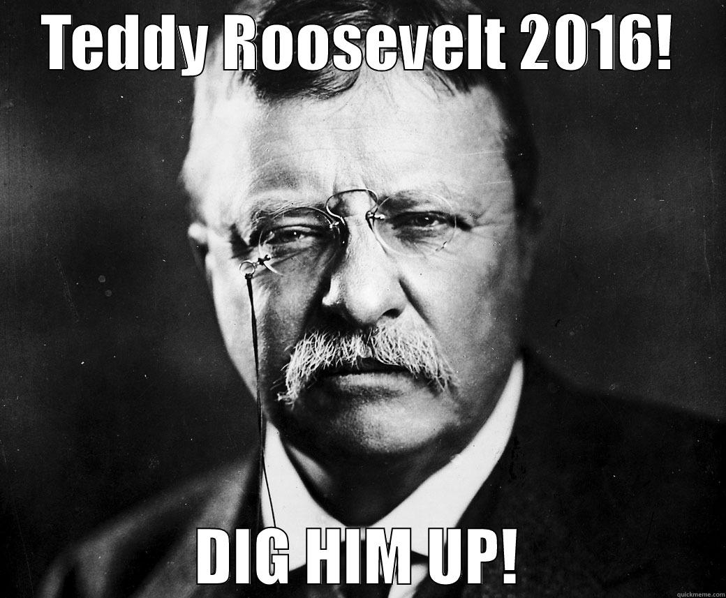 TEDDY ROOSEVELT 2016! DIG HIM UP! Misc