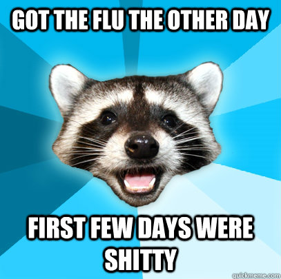 Got the flu the other day first few days were shitty  Lame Pun Coon