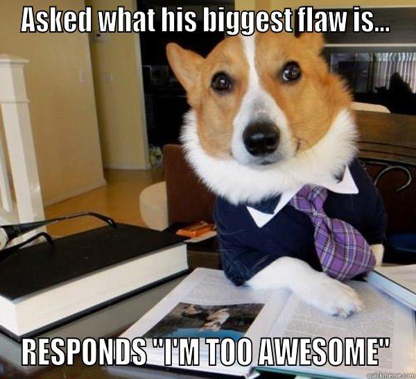 awesome doggie - ASKED WHAT HIS BIGGEST FLAW IS... RESPONDS 