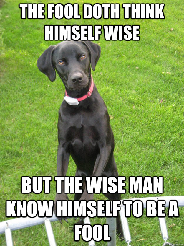 The Fool Doth think himself wise But the wise man know himself to be a fool - The Fool Doth think himself wise But the wise man know himself to be a fool  Homer the Wisdom Dog