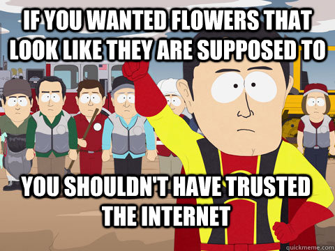 if you wanted flowers that look like they are supposed to you shouldn't have trusted the internet  Captain Hindsight