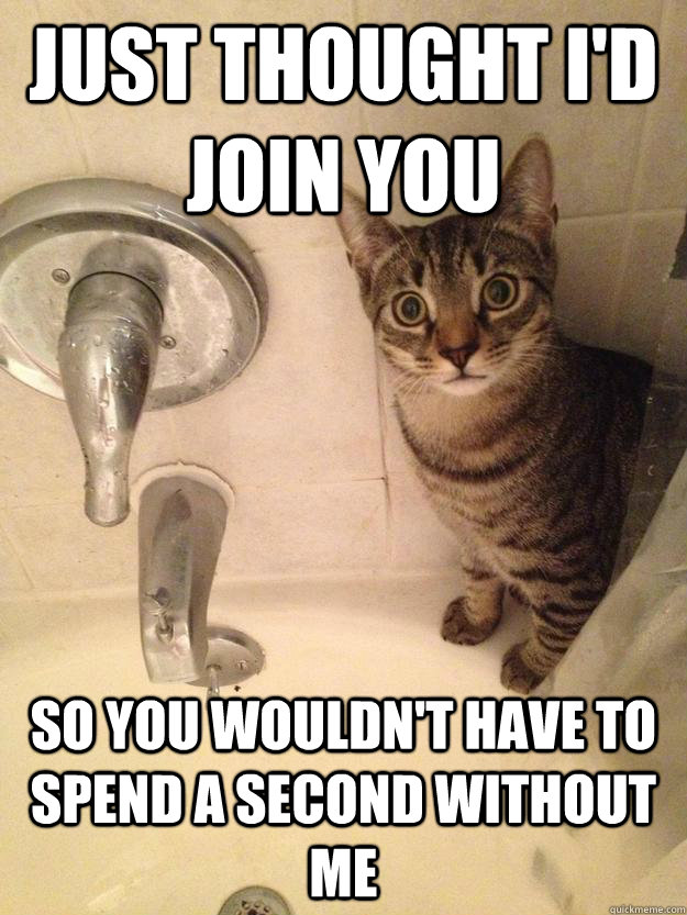 Just thought I'd join you so you wouldn't have to spend a second without me  