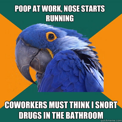poop at work, nose starts running coworkers must think i snort drugs in the bathroom  Paranoid Parrot