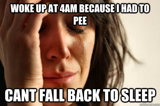 woke up at 4am because i had to pee cant fall back to sleep - woke up at 4am because i had to pee cant fall back to sleep  First World Problems