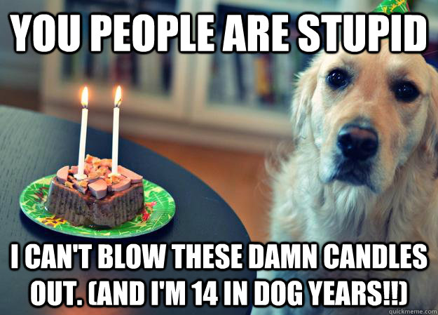 You people are stupid I can't blow these damn candles out. (AND I'm 14 in dog years!!)  Sad Birthday Dog