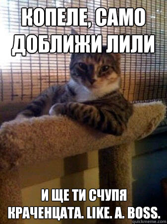 копеле, само доближи лили и ще ти счупя крач&  The Most Interesting Cat in the World