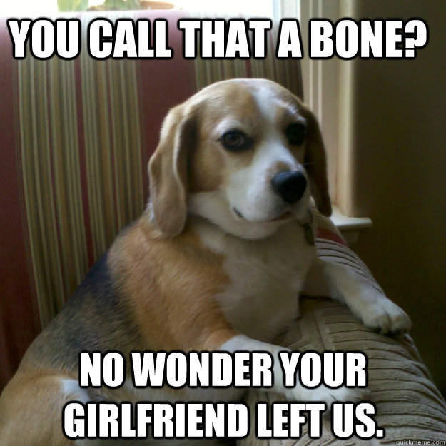 You call that a bone? No wonder your girlfriend left us.  judgmental dog