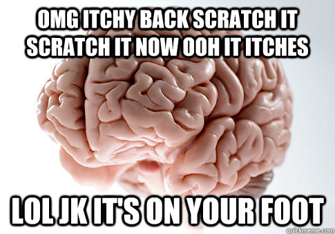 OMG ITCHY BACK SCRATCH IT SCRATCH IT NOW OOH IT ITCHES LOL JK IT'S ON YOUR FOOT  Scumbag Brain