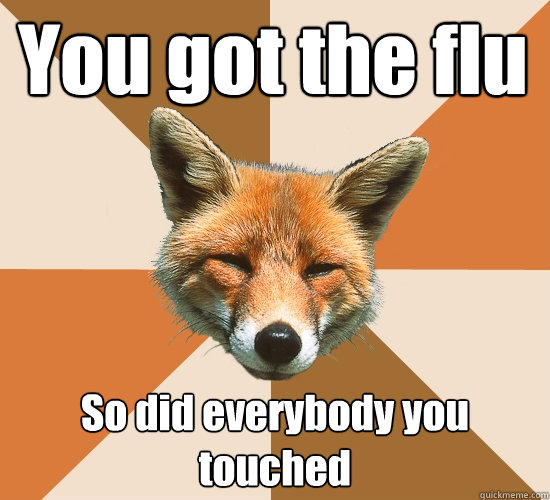 You got the flu
 So did everybody you touched   Condescending Fox
