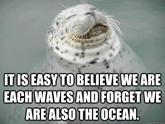 It is easy to believe we are each waves and forget we are also the ocean.  Zen Seal