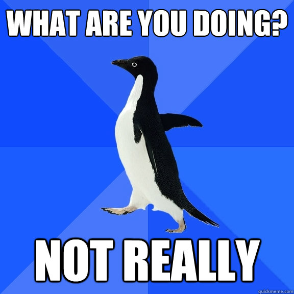 What are you doing? not really  Socially Awkward Penguin